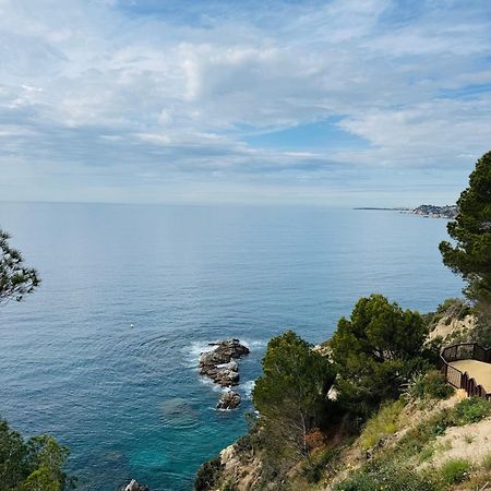 Studio Acapulco Lloret de Mar Eksteriør bilde